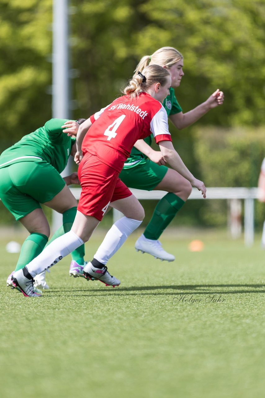 Bild 214 - wBJ SV Wahlstedt - TSV Wentorf-Dandesneben : Ergebnis: 7:1